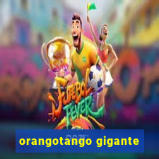 orangotango gigante